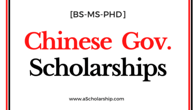 CSC Scholarships 2023-2024 by 274 Chinese Government Universities under China Scholarships Council