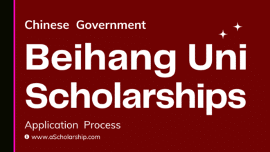 Beihang University CSC Scholarship 2023-2024 - Deadline Feb 20, 2023
