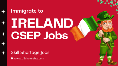Immigrate to Ireland in 2024 via Critical Skills Employment Permits (CSEP) Jobs