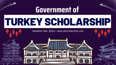 Turkey Government Scholarship 2024 Online Application Portal